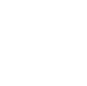 Poetic Licence